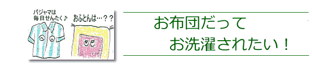 パジャマは、毎日お洗濯してますが、布団は？