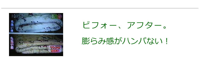 クリーニング前と後の比較