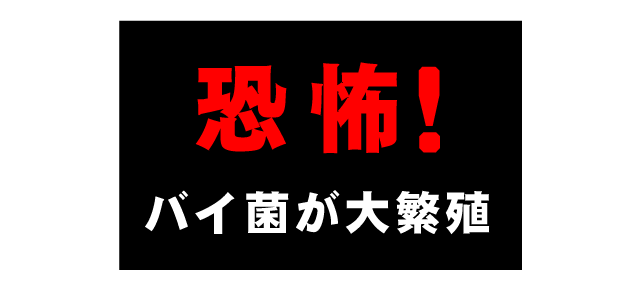 濡れた布団は、雑菌の繁殖に繋がる