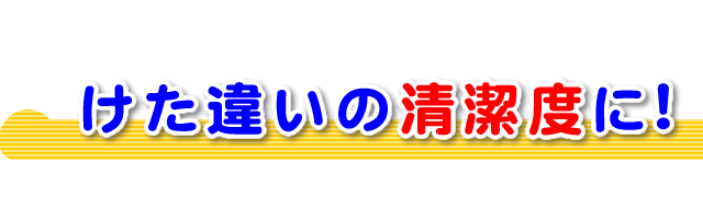 けた違いの清潔度に仕上げる布団クリーニング