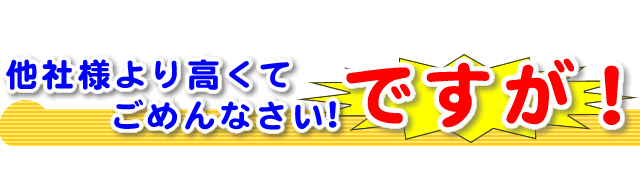 布団クリーニング業界で高めの値段設定ですが、それ以上の清潔さを実感できる仕上げ